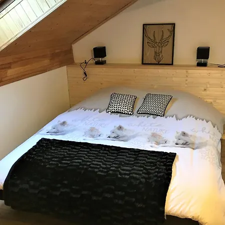 Cosy 4* A 100m Des Pistes, Avec Sauna, Wifi Et Parking Prive - Fr-1-267-269 Villarembert